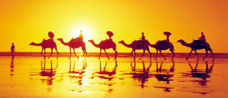 Banksia Adventures - Tourism Caloundra 1