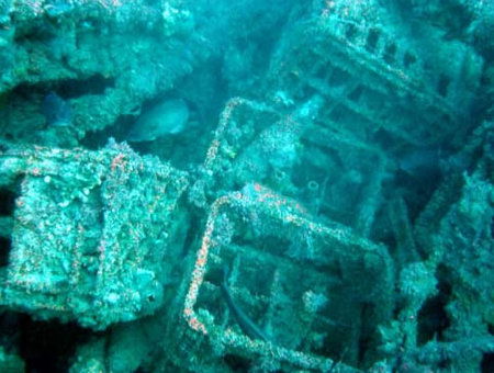 Underwater Sports Diving Centre - Tourism Caloundra 0