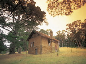 Heysen - The Cedars - Tourism Caloundra 0