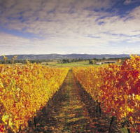 Link Tours - Tourism Caloundra