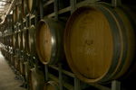 Link Tours - Tourism Caloundra 1