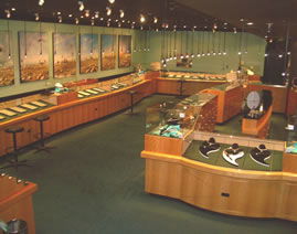The National Opal Collection - Tourism Caloundra 3