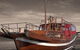 Oriental Queen Cruises - thumb 0