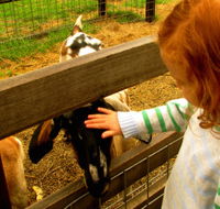 Collingwood Children's Farm - Tourism Caloundra