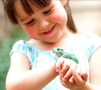 Reptile Encounters - Tourism Caloundra 1