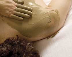 Alkaline Spa & Clinic - Tourism Caloundra 2