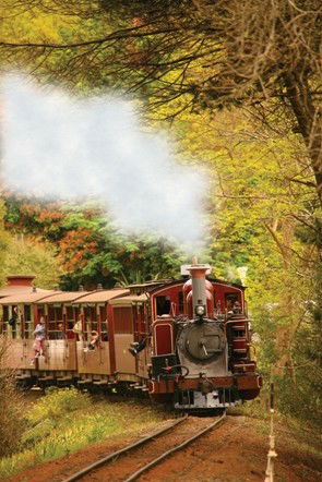 Puffing Billy - Tourism Caloundra 5