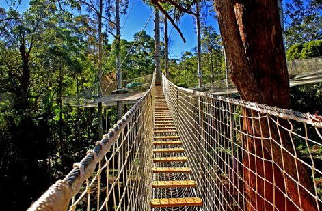 FreemanX Experience - Tourism Caloundra 2