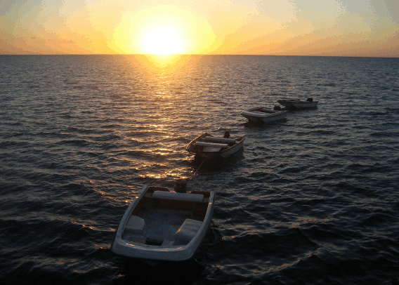 Carlo Fishing Charters - Tourism Caloundra 2