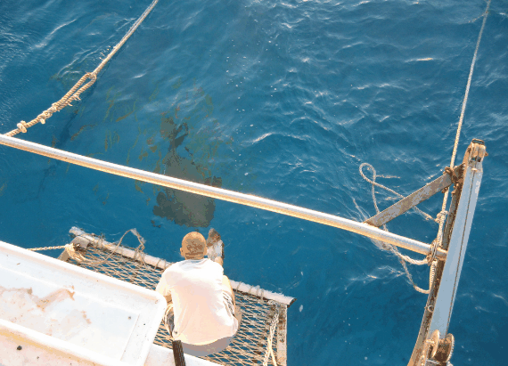 Carlo Fishing Charters - Tourism Caloundra 4