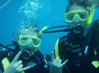 Snorkel Safari Brisbane - Tourism Caloundra 5