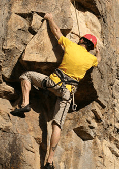 Adventures Around Brisbane - Tourism Caloundra 3