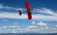 Tigermoth Joy Rides - thumb 1
