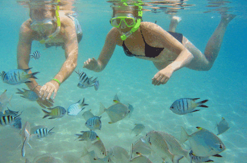 Australian Kayaking Adventures - Tourism Caloundra 2