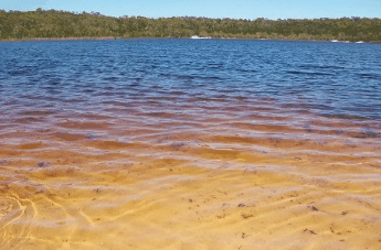 Beach Trekkers North Stradbroke Island - Tourism Caloundra 1