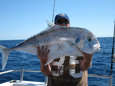 Blue Juice Charters - Tourism Caloundra 4