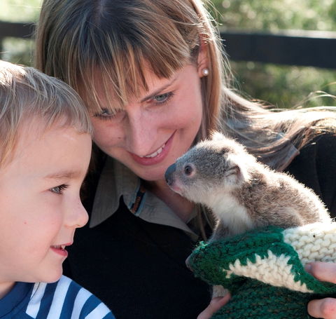 Australian Reptile Park - Tourism Caloundra 1