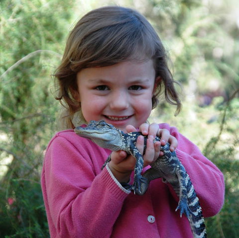 Australian Reptile Park - Tourism Caloundra 2