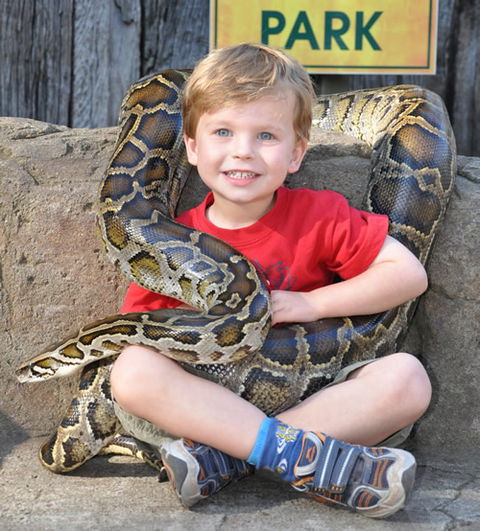 Australian Reptile Park - Tourism Caloundra 3