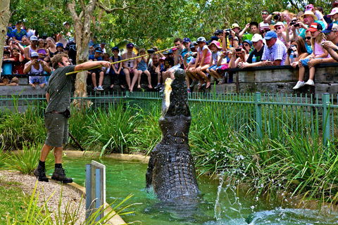 Australian Reptile Park - Tourism Caloundra 4