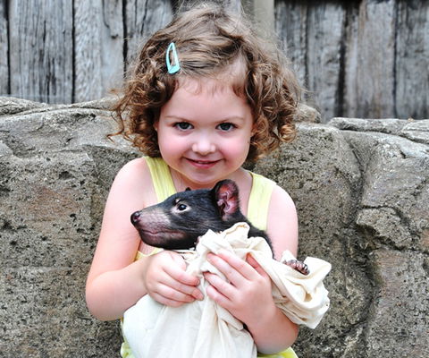 Australian Reptile Park - Tourism Caloundra 8