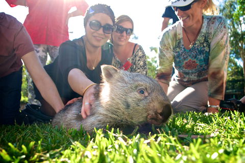 Australian Reptile Park - Tourism Caloundra 10