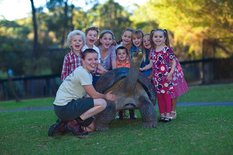 Australian Reptile Park - Tourism Caloundra 11