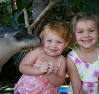 Dolphin Marine Magic - Tourism Caloundra