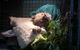 Jirrahlinga Koala & Wildlife Sanctuary - thumb 3