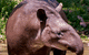 Alma Park Zoo - thumb 4