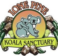 Lone Pine Koala Sanctuary - Tourism Caloundra