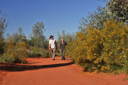 Alice Springs Desert Park - Tourism Caloundra 3