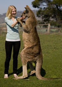 Zoo Doo Wildlife Park - Tourism Caloundra 5