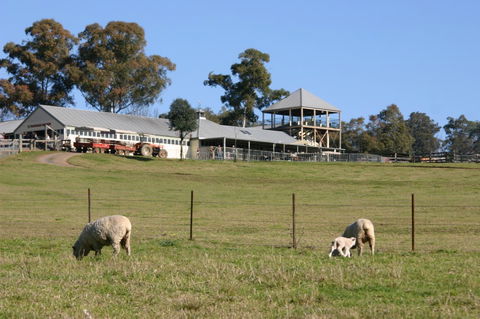 Calmsley Hill City Farm - Tourism Caloundra 3