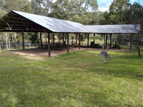 Calmsley Hill City Farm - Tourism Caloundra 5