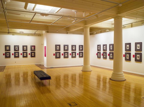 Cairns Regional Gallery - Tourism Caloundra 2