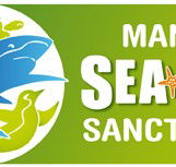 Manly SEA LIFE Sanctuary - Tourism Caloundra