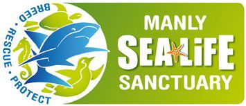 Manly SEA LIFE Sanctuary - Tourism Caloundra 0