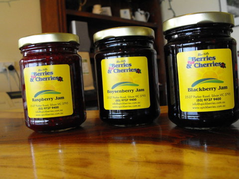 Blue Hills Berries & Cherries - Tourism Caloundra 1