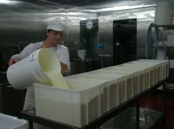 Witches Chase Cheese Co - Tourism Caloundra 1