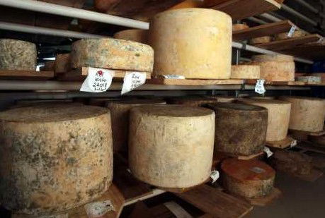 Witches Chase Cheese Co - Tourism Caloundra 3