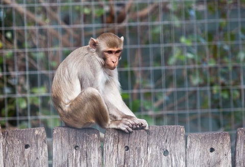 Darling Downs Zoo - Tourism Caloundra 5