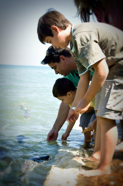 Aquascene Fish Feeding Sanctuary - Tourism Caloundra 3