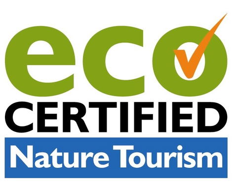 Aquascene Fish Feeding Sanctuary - Tourism Caloundra 4