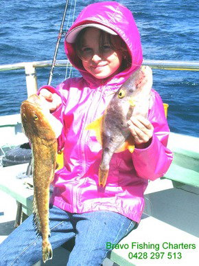 Bravo Fishing Charters - Tourism Caloundra 5