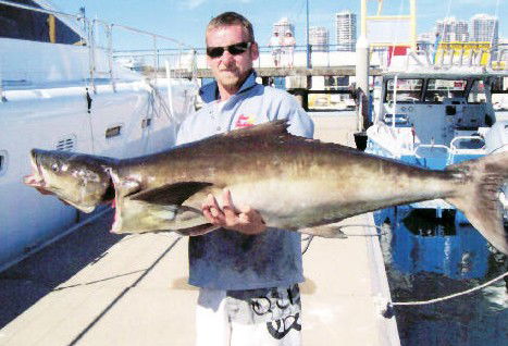 True Blue Fishing Charters - Tourism Caloundra 0