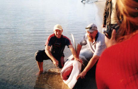 True Blue Fishing Charters - Tourism Caloundra 1