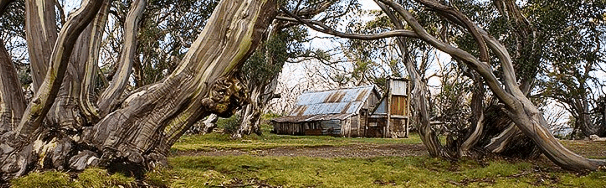 High Country Scenic Tours - Tourism Caloundra