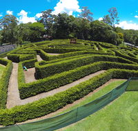 Bellingham Maze - Tourism Caloundra