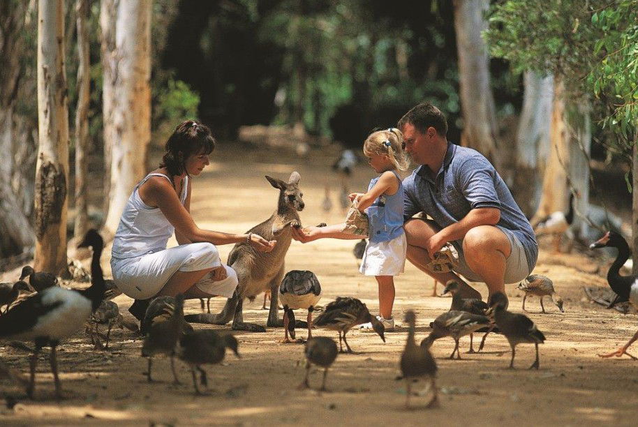 Idalia QLD Tourism Caloundra